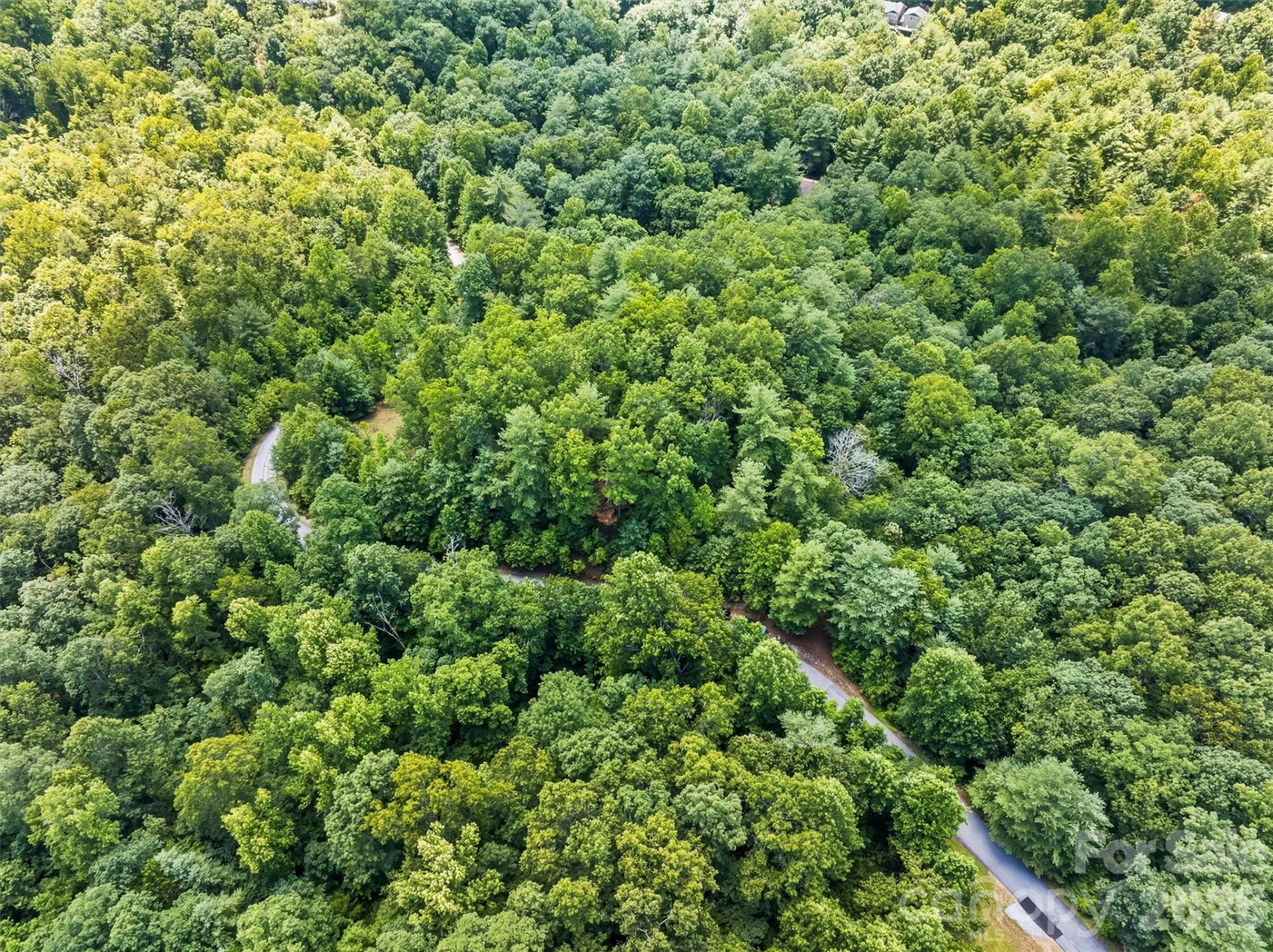 Lot 21 Big Raven Lane - Photo 14