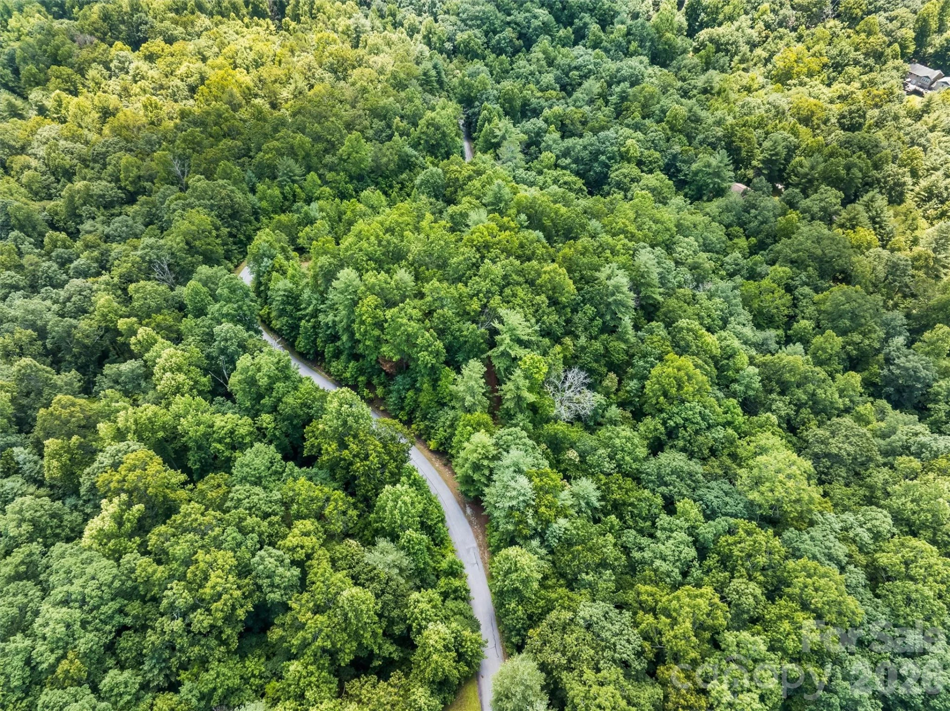 Lot 21 Big Raven Lane - Photo 15