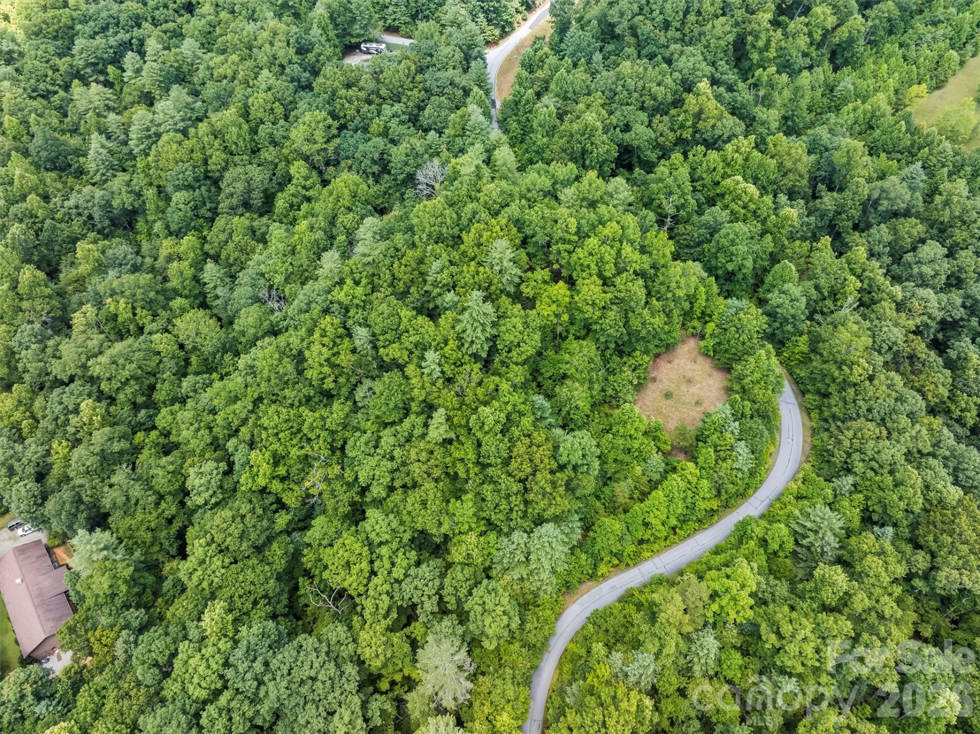 Lot 21 Big Raven Lane - Photo 16