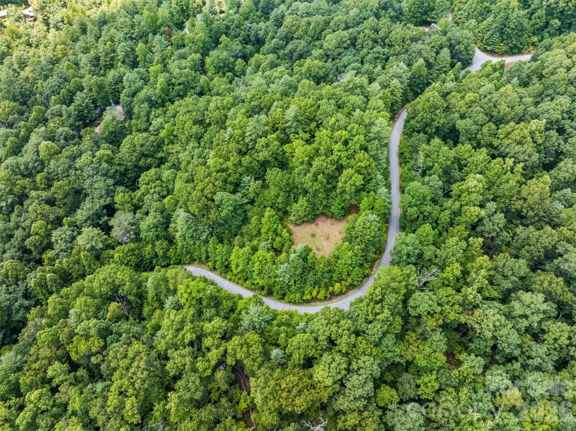 Lot 21 Big Raven Lane - Photo 17