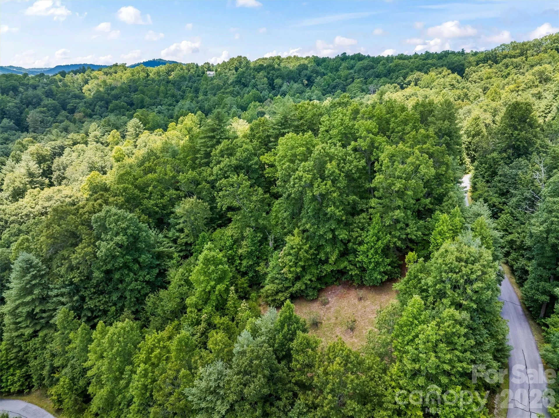 Lot 21 Big Raven Lane - Photo 18