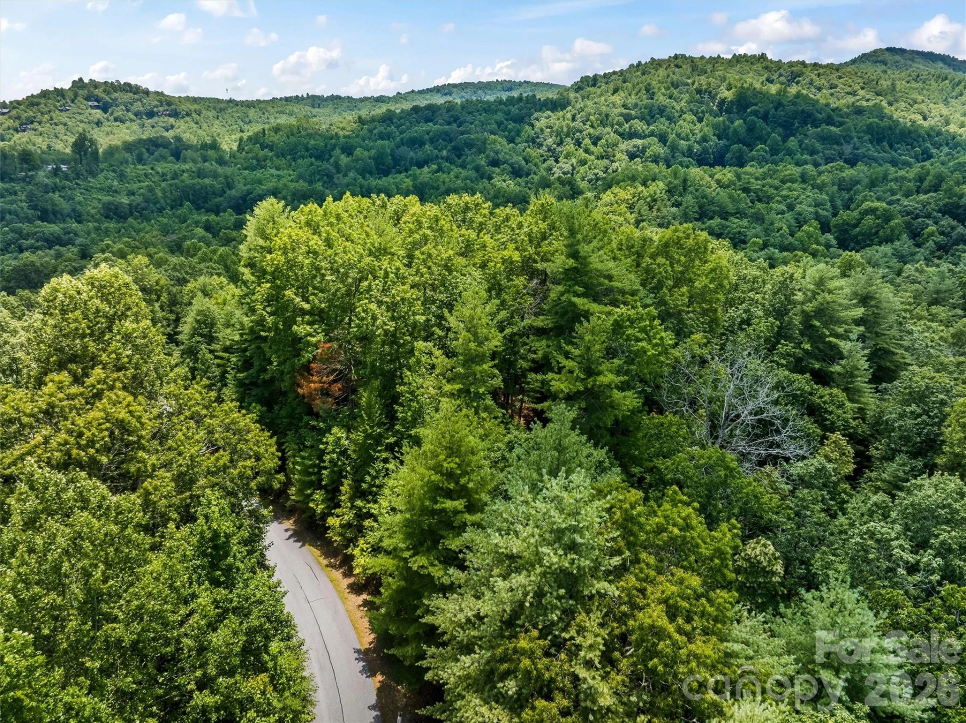Lot 21 Big Raven Lane - Photo 19