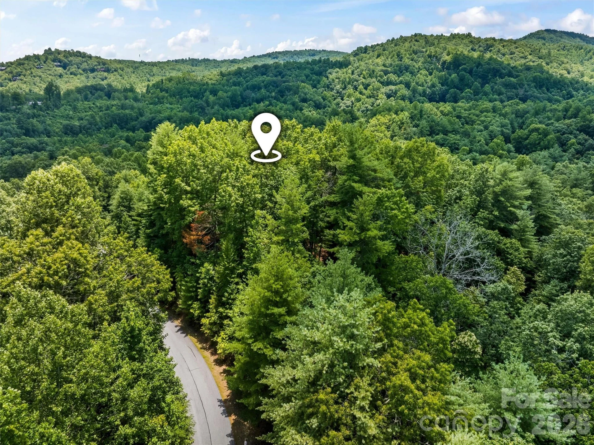 Lot 21 Big Raven Lane - Photo 20
