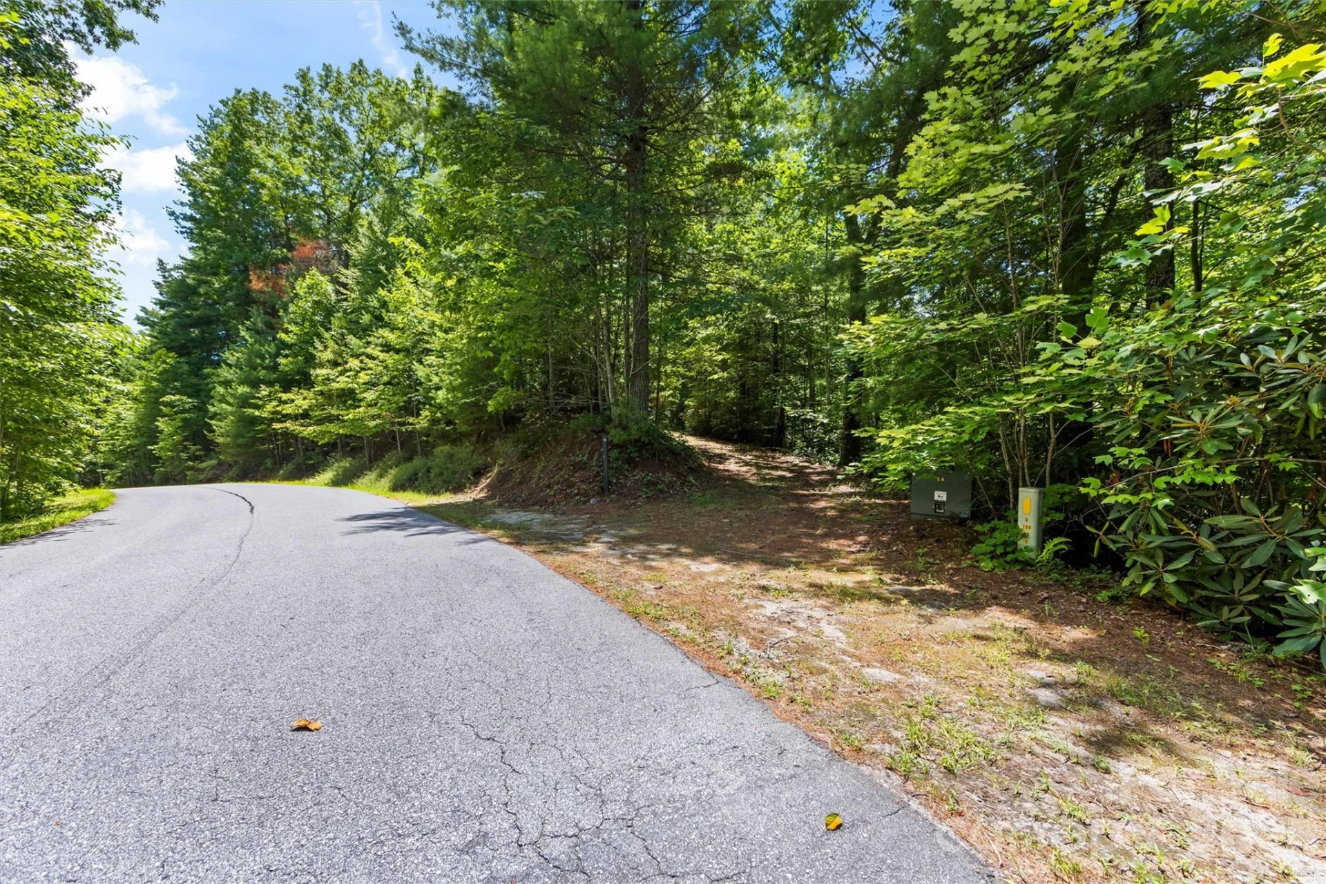 Lot 21 Big Raven Lane - Photo 3