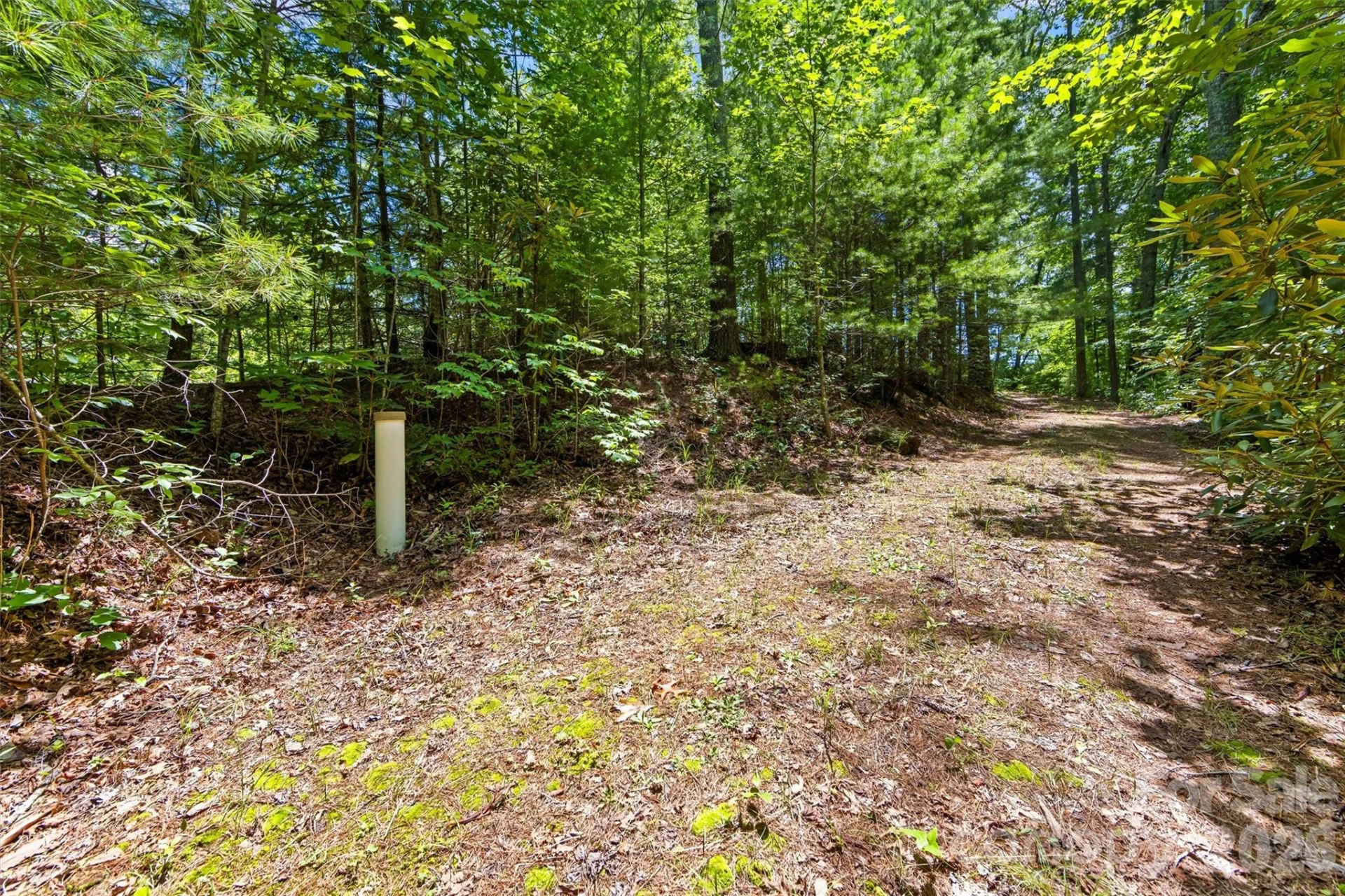 Lot 21 Big Raven Lane - Photo 4