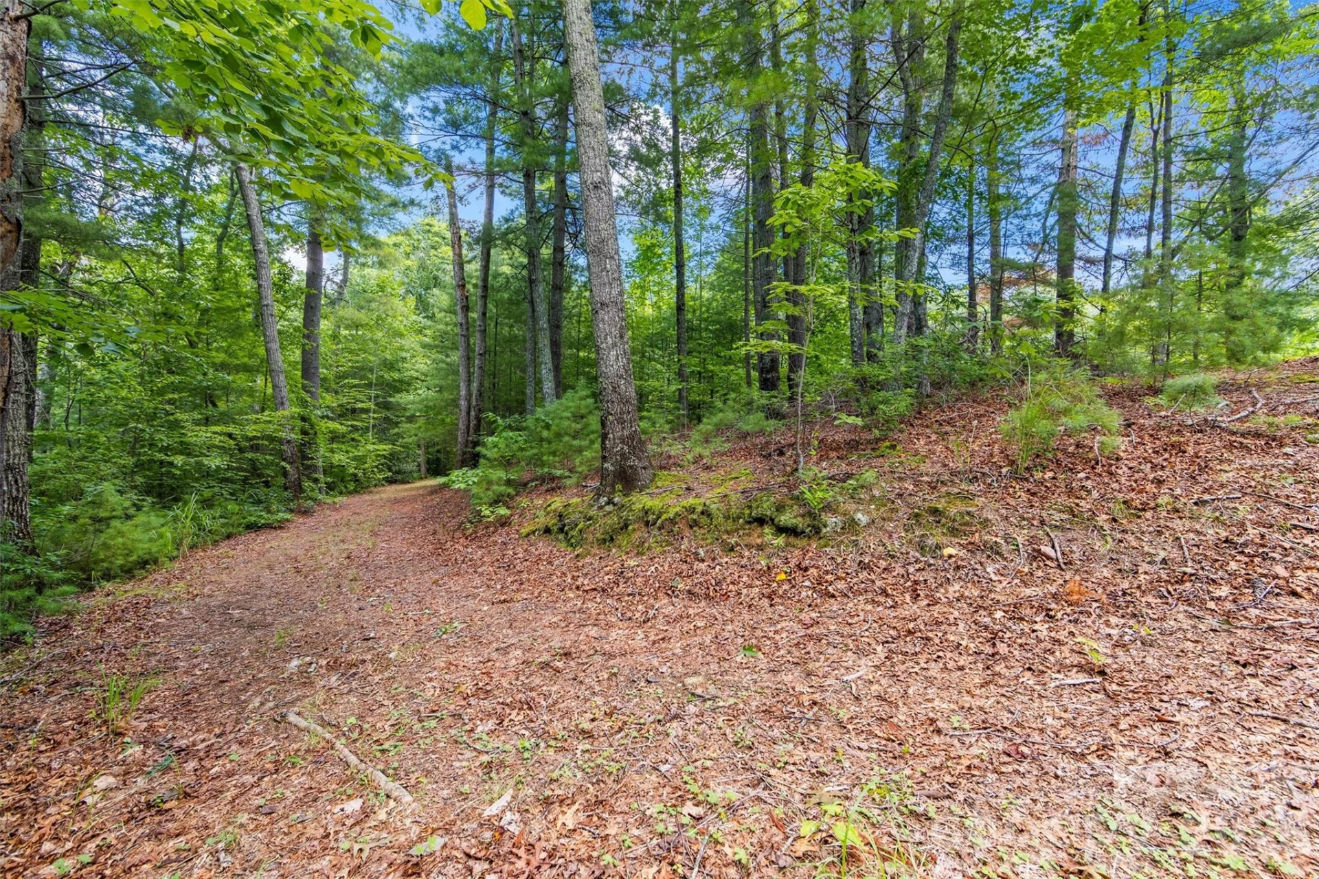 Lot 21 Big Raven Lane - Photo 5