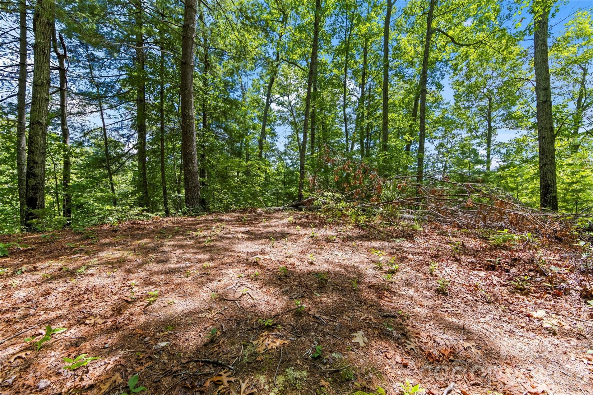 Lot 21 Big Raven Lane - Photo 7