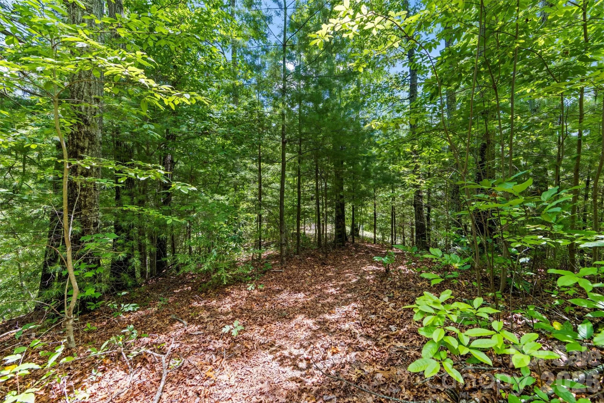 Lot 21 Big Raven Lane - Photo 8