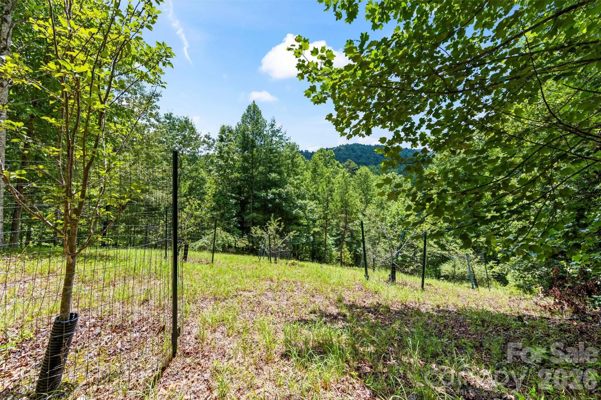 Lot 21 Big Raven Lane - Photo 9