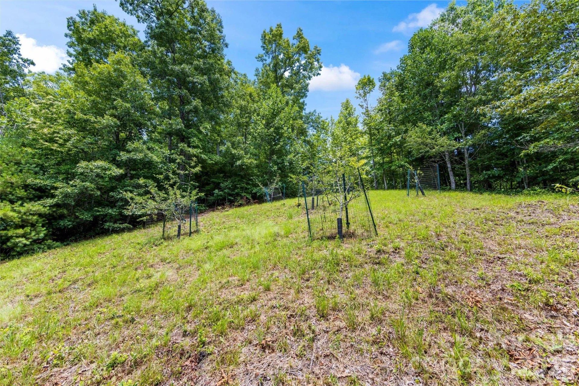 Lot 21 Big Raven Lane - Photo 10