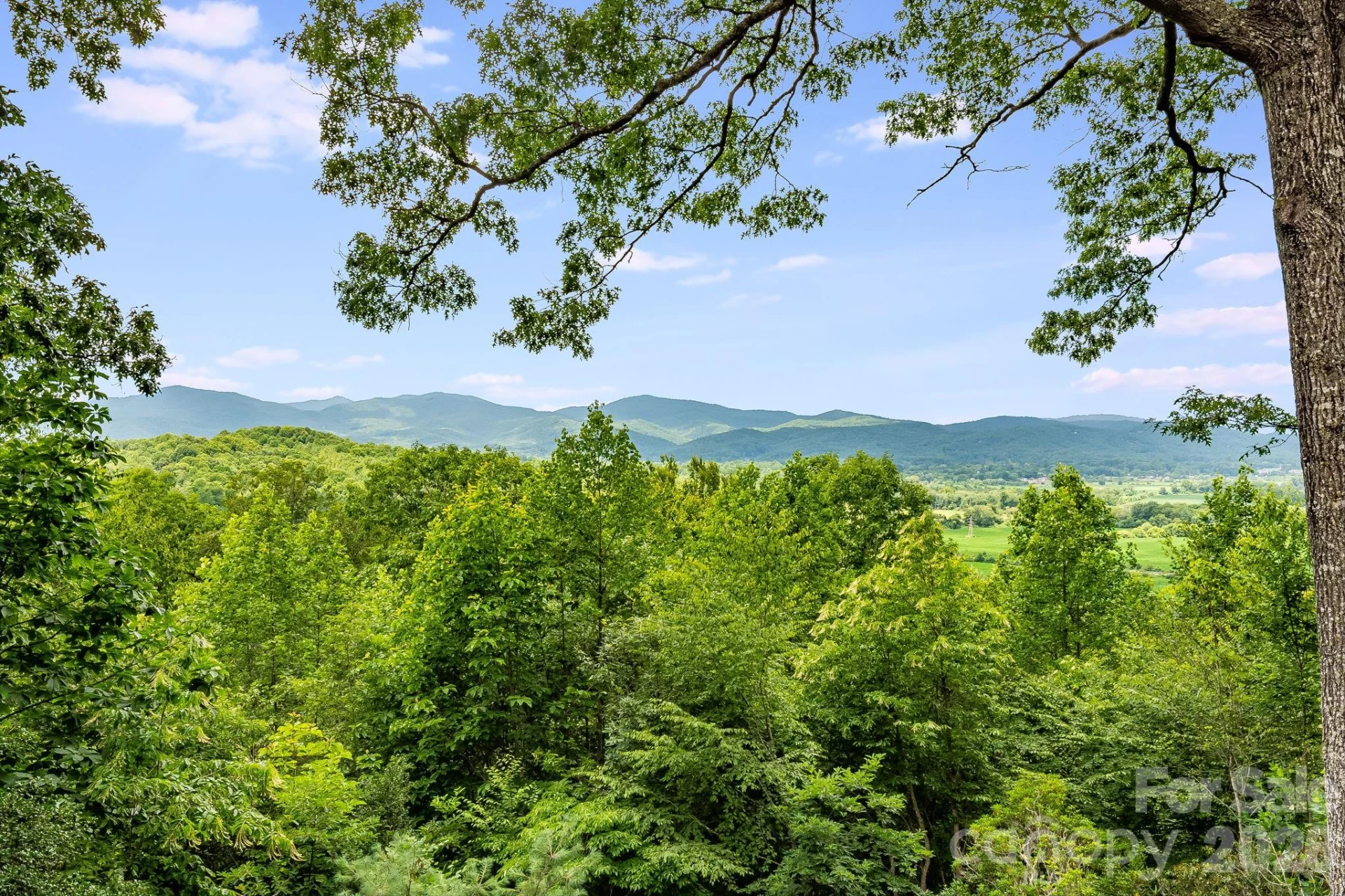 99 Oak Ridge Road - Photo 41