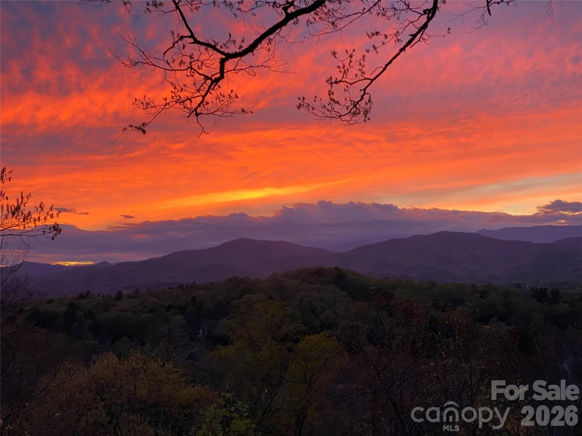 99 Oak Ridge Road - Photo 47