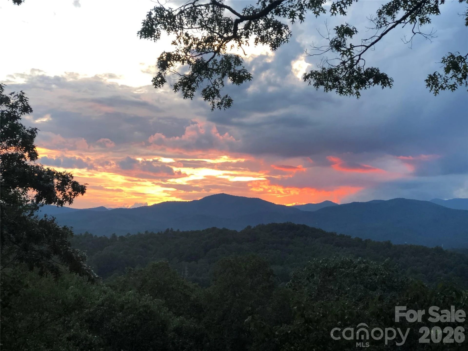 99 Oak Ridge Road - Photo 48