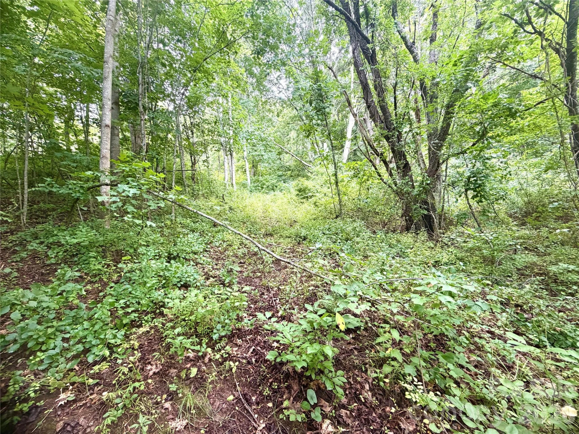 00 Trillium Way - Photo 7