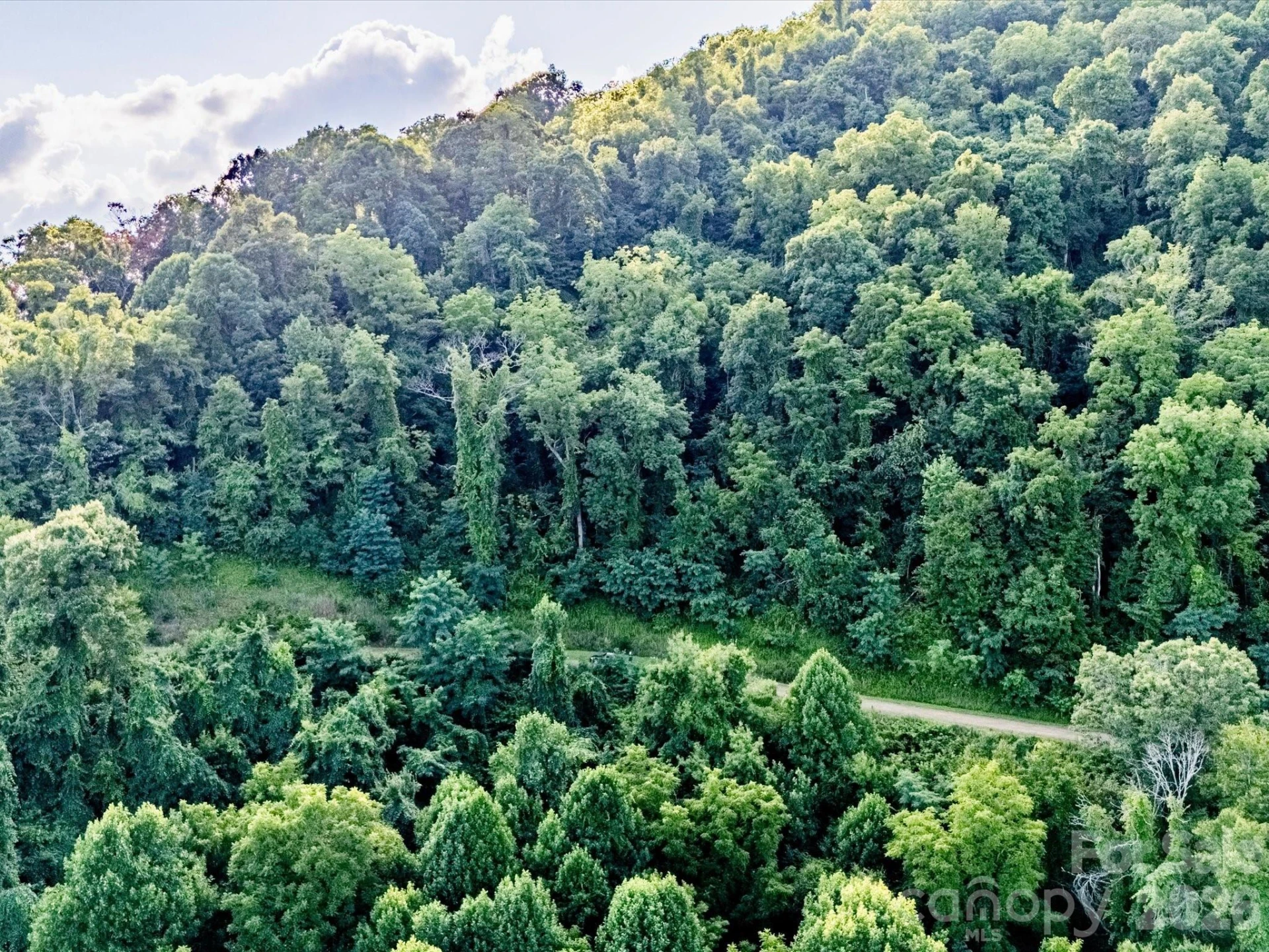 42 High Rock View Drive - Photo 2