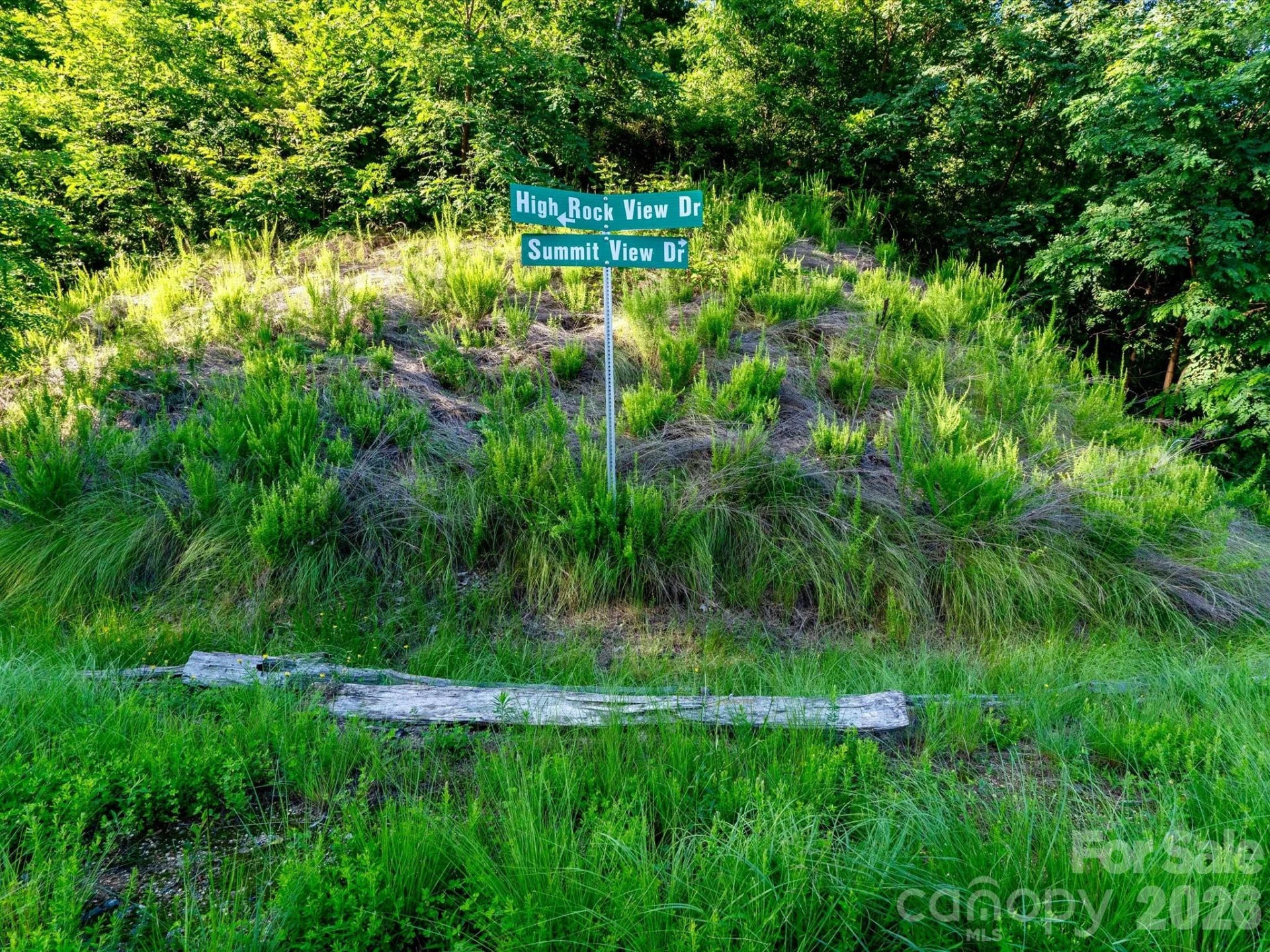 42 High Rock View Drive - Photo 8
