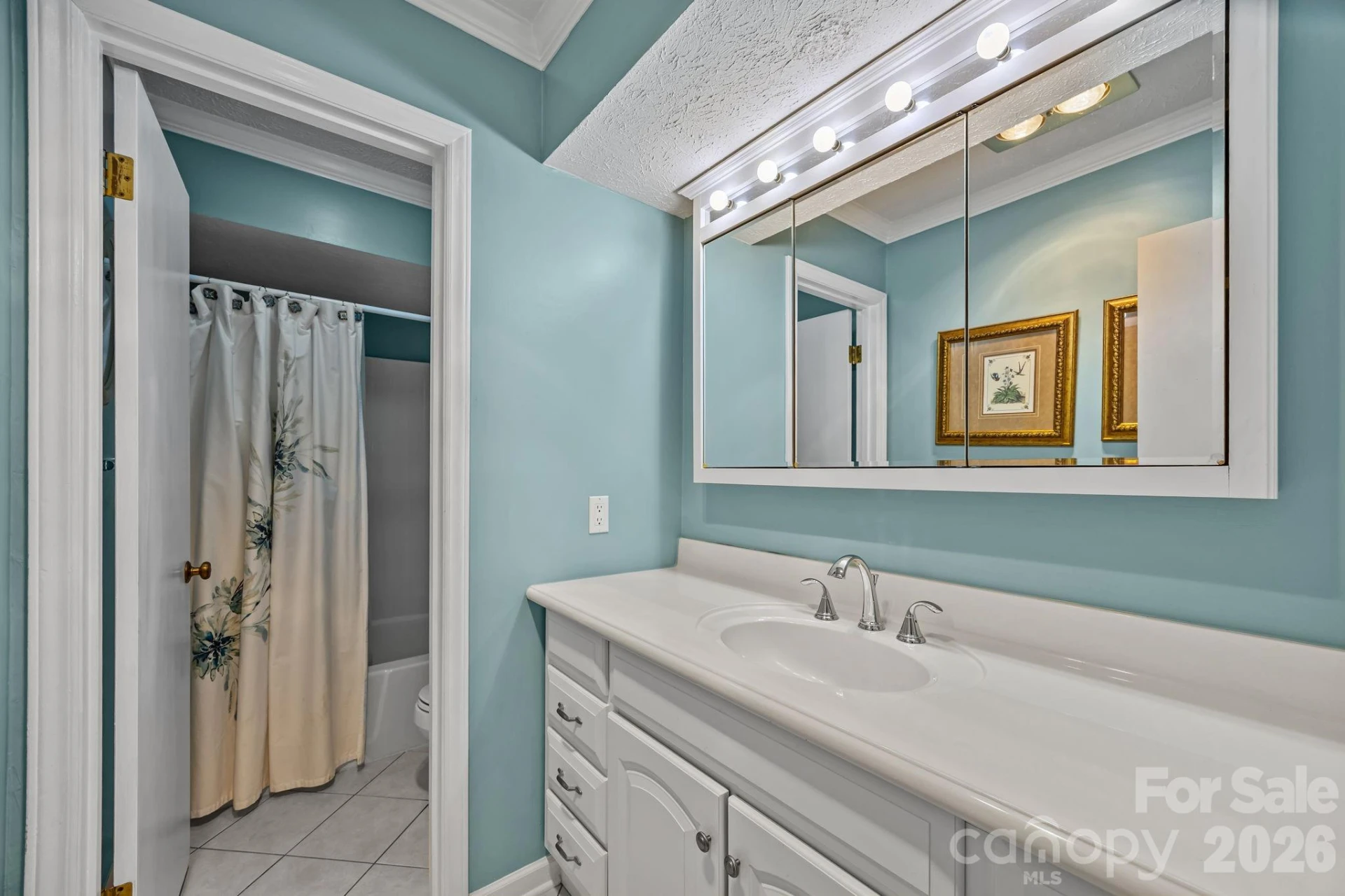 6777 Pinnacle Mountain Road - Photo 14