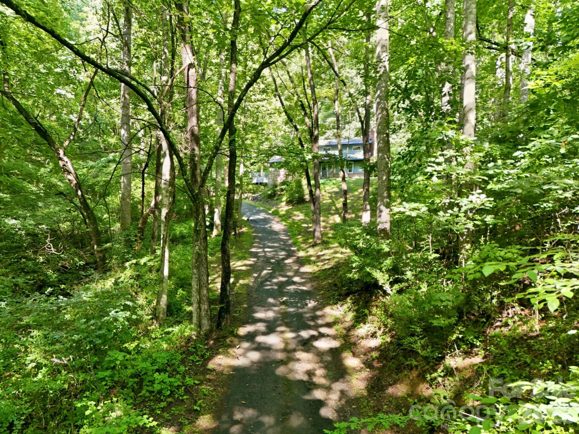 222 Morgan Cove Road - Photo 11