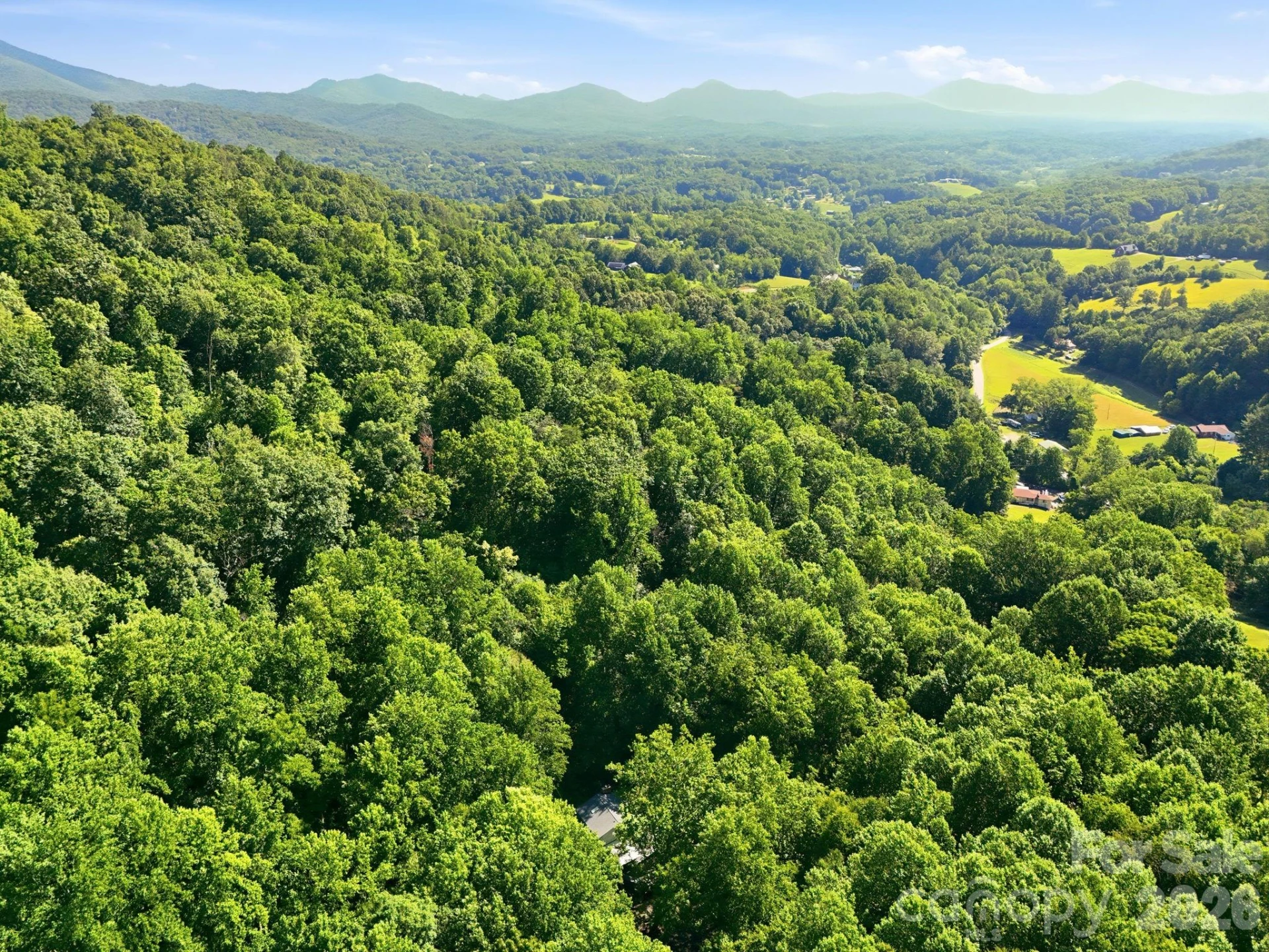 222 Morgan Cove Road - Photo 46
