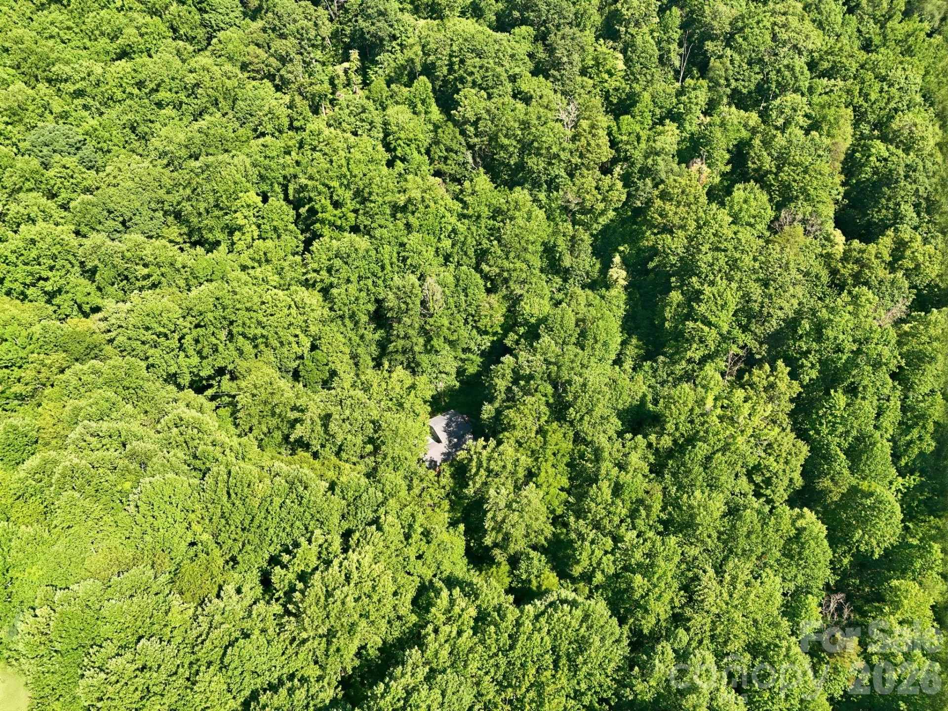 222 Morgan Cove Road - Photo 48