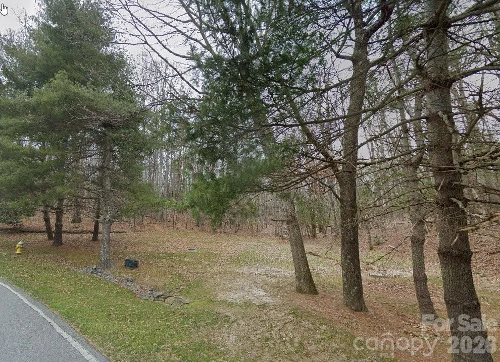 1008 Indian Cave Road - Photo 2