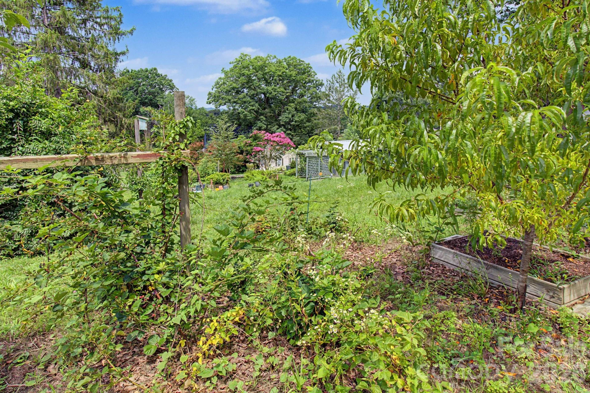 25 Wentworth Avenue - Photo 43