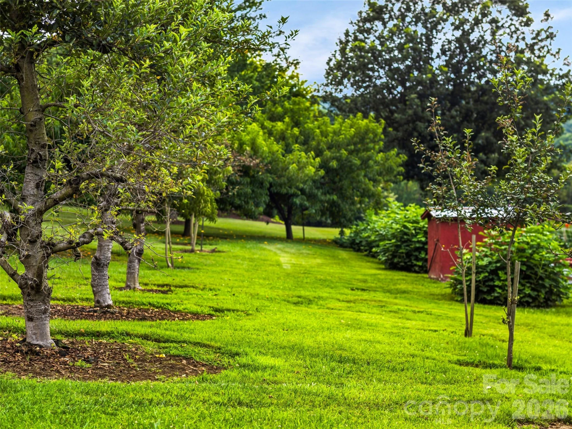 280 Walnut Hollow Road - Photo 44