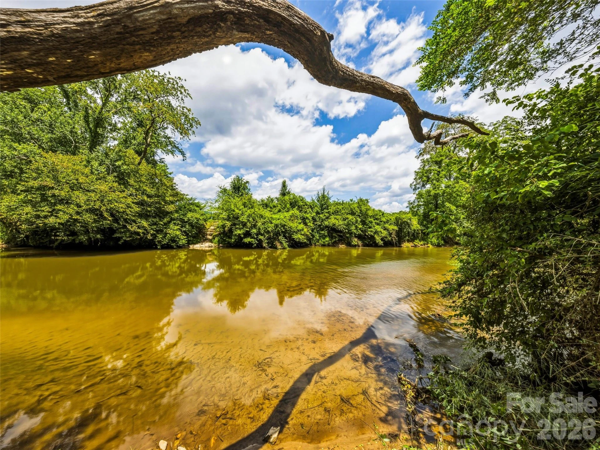 280 Walnut Hollow Road - Photo 45