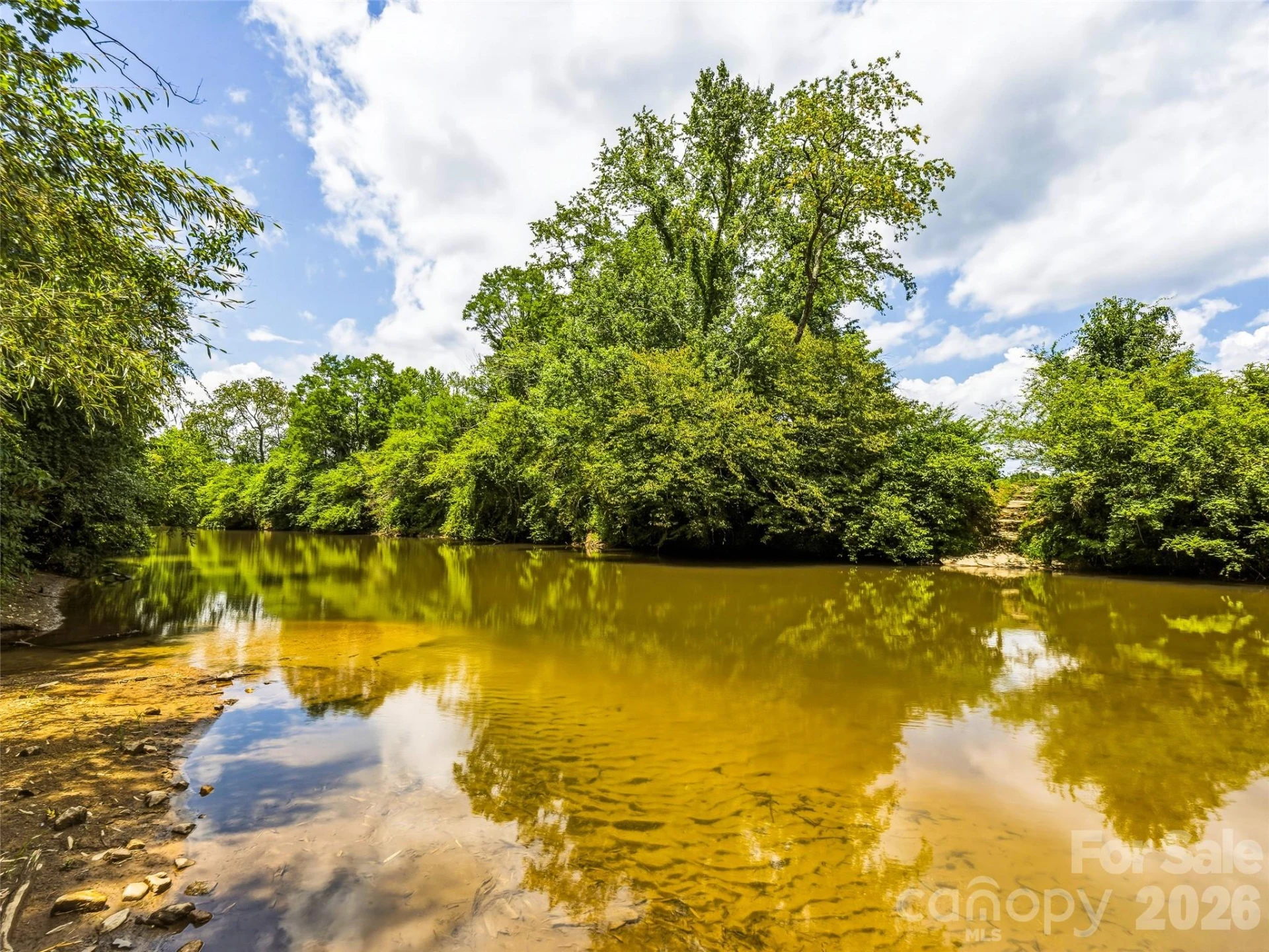 280 Walnut Hollow Road - Photo 46
