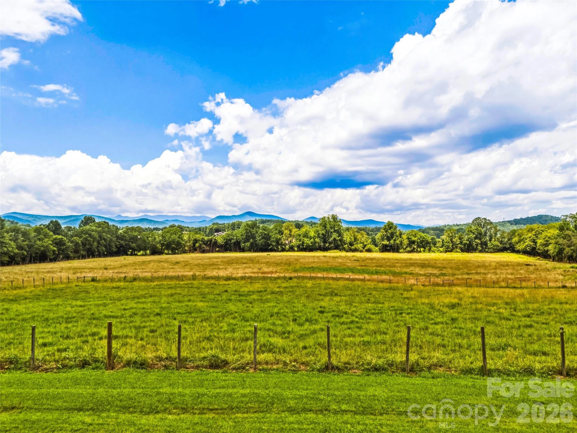 280 Walnut Hollow Road - Photo 47
