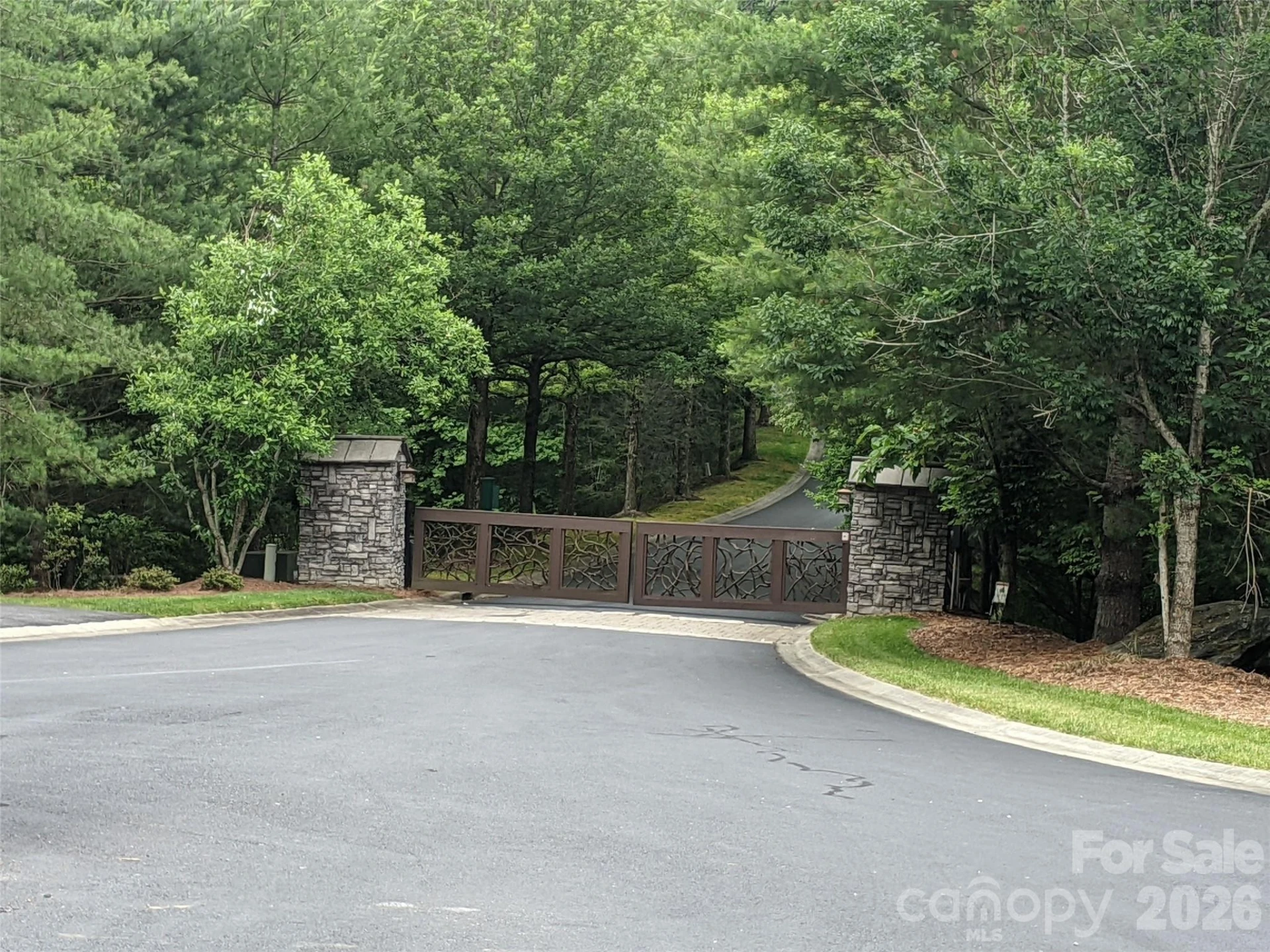 99999 Mills River Way #Lot 107 - Photo 7