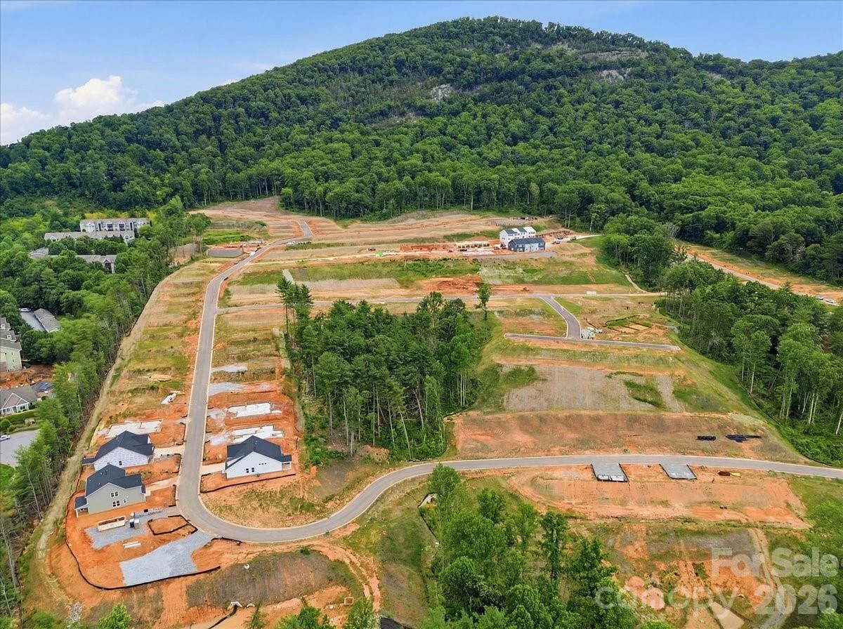 234 Smokey Holler Drive - Photo 8