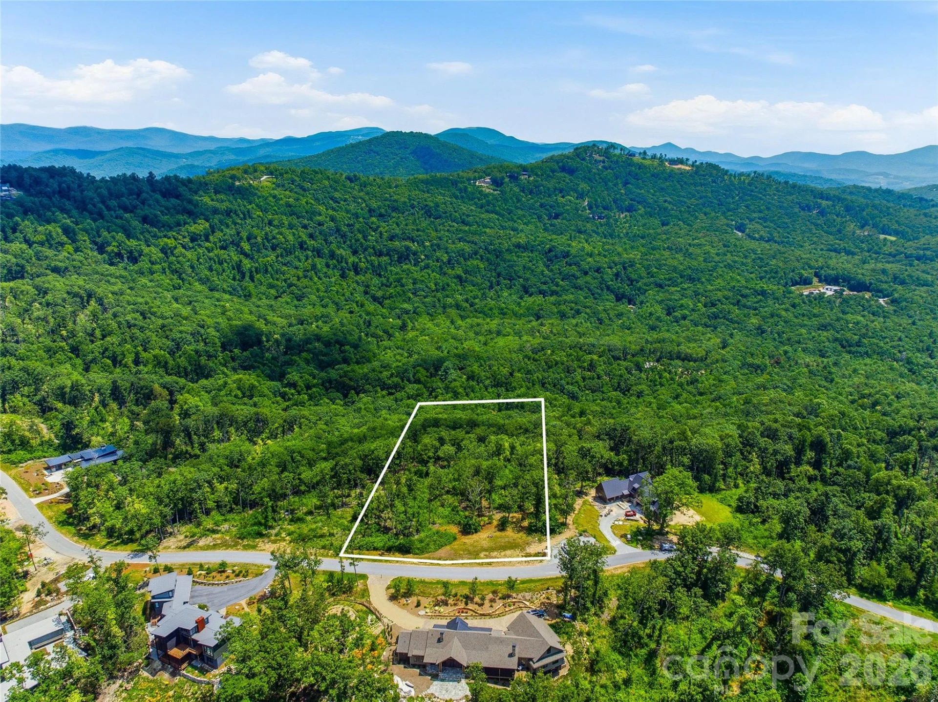 58 Mountain Grove Lane - Photo 9