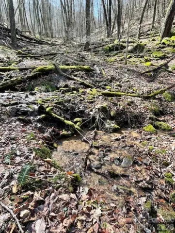 106 Avalon Gap Trail, Waynesville, NC, 28785