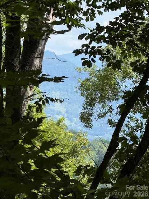 110 Cabin Ridge #110