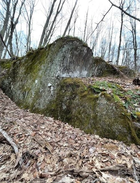 110 Cabin Ridge #110 - Photo 2