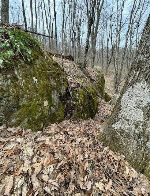 110 Cabin Ridge #110 - Photo 7