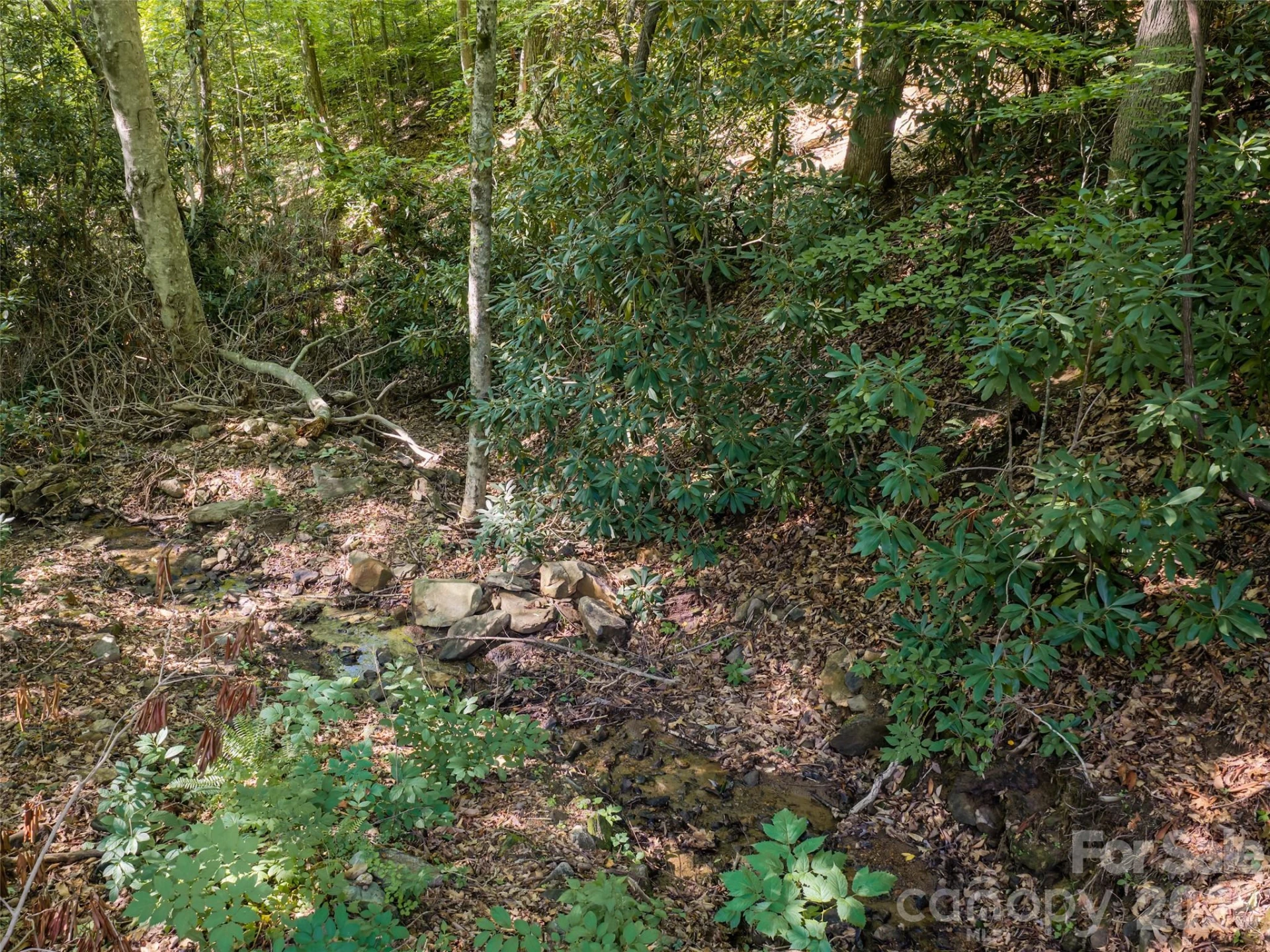 1043 Moss Creek Lane #69 - Photo 12