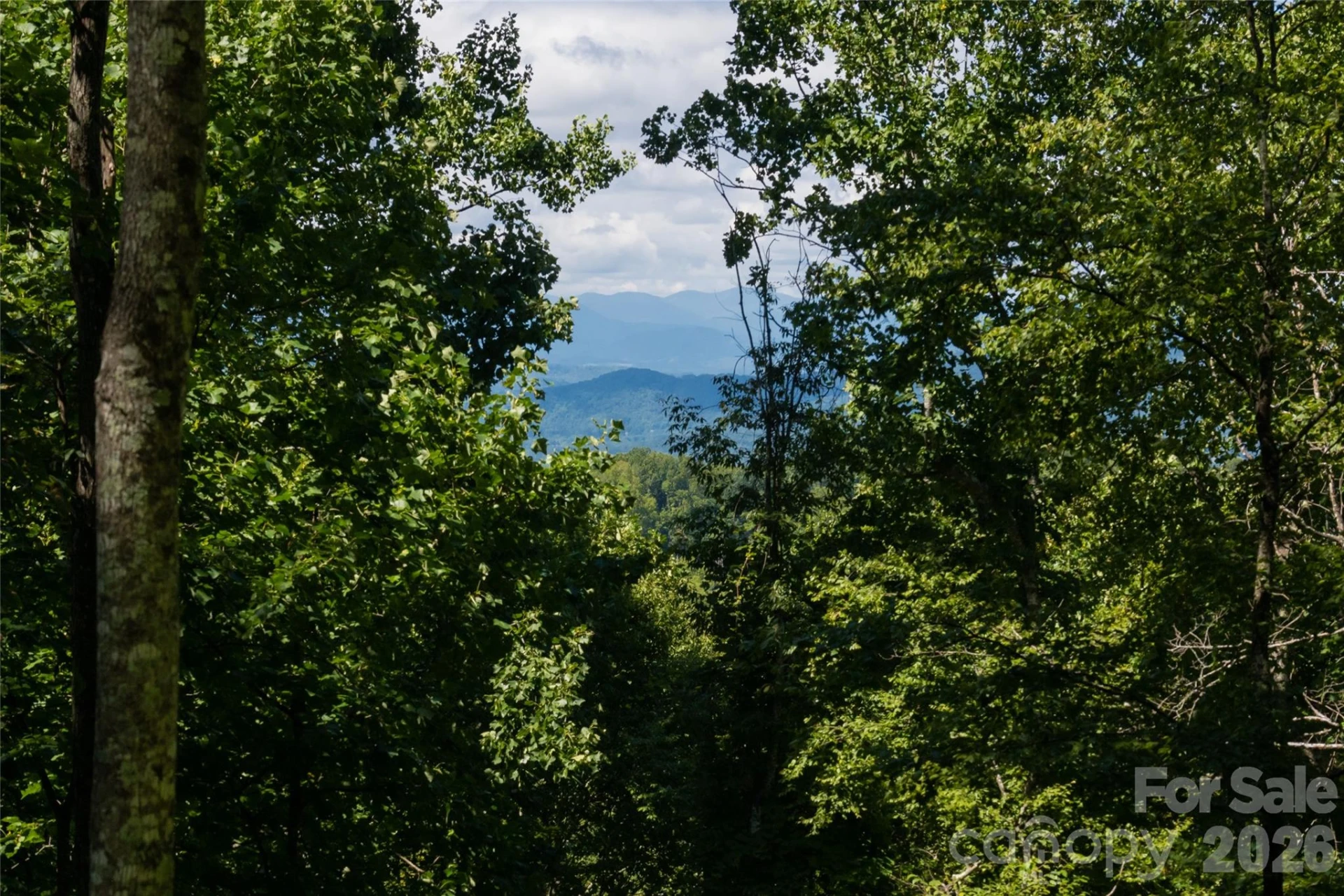 1043 Moss Creek Lane #69 - Photo 3