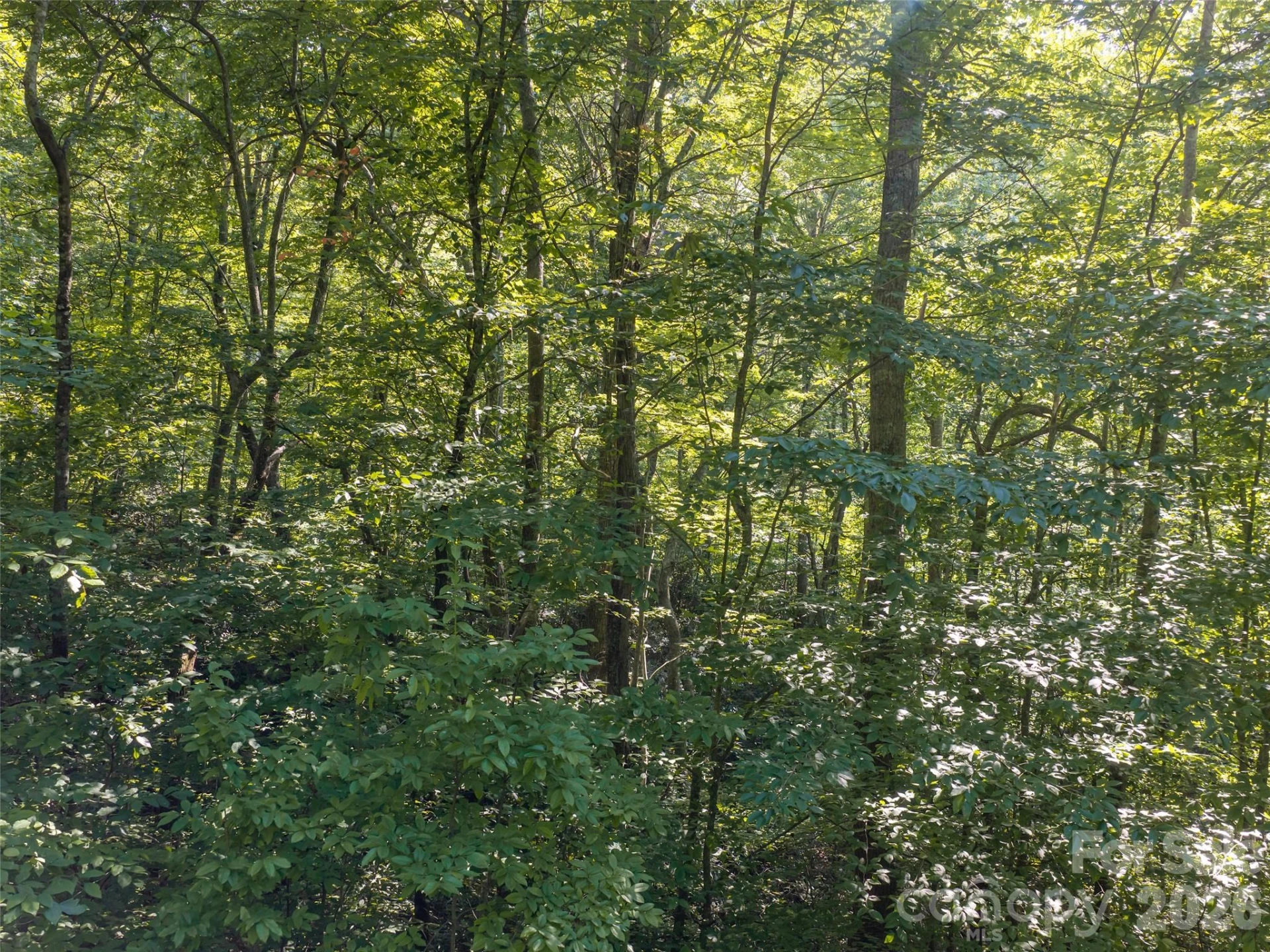 1043 Moss Creek Lane #69 - Photo 4