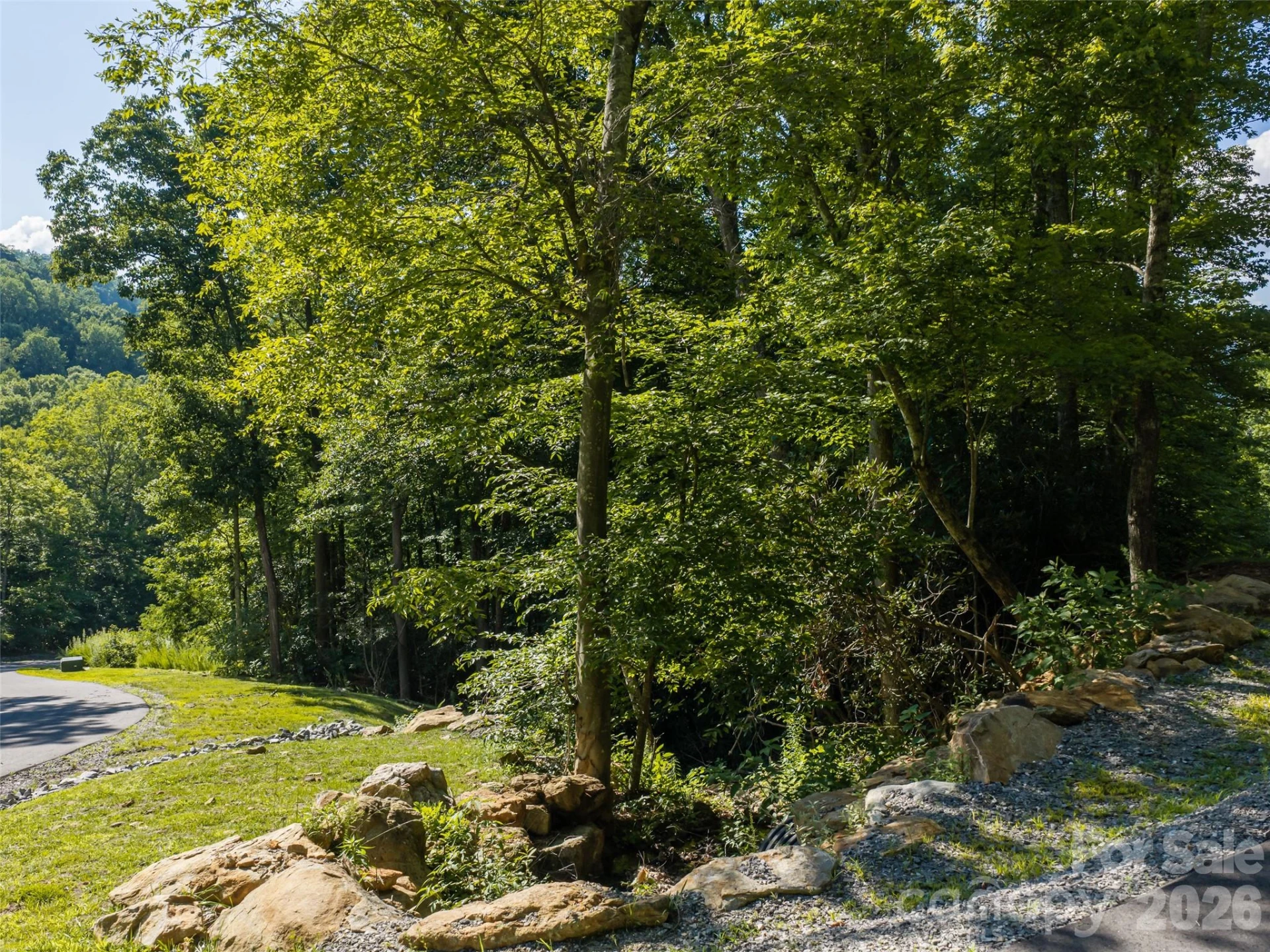1043 Moss Creek Lane #69 - Photo 7