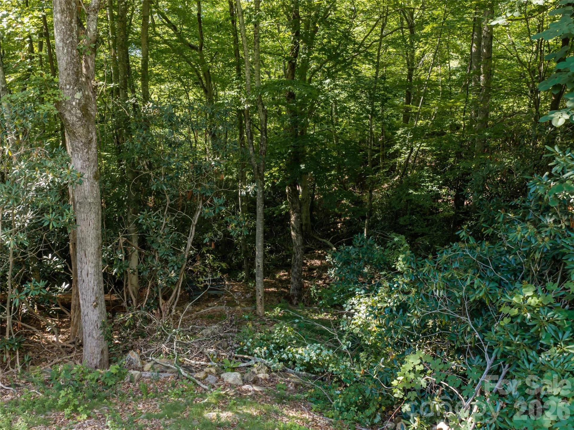 1043 Moss Creek Lane #69 - Photo 10