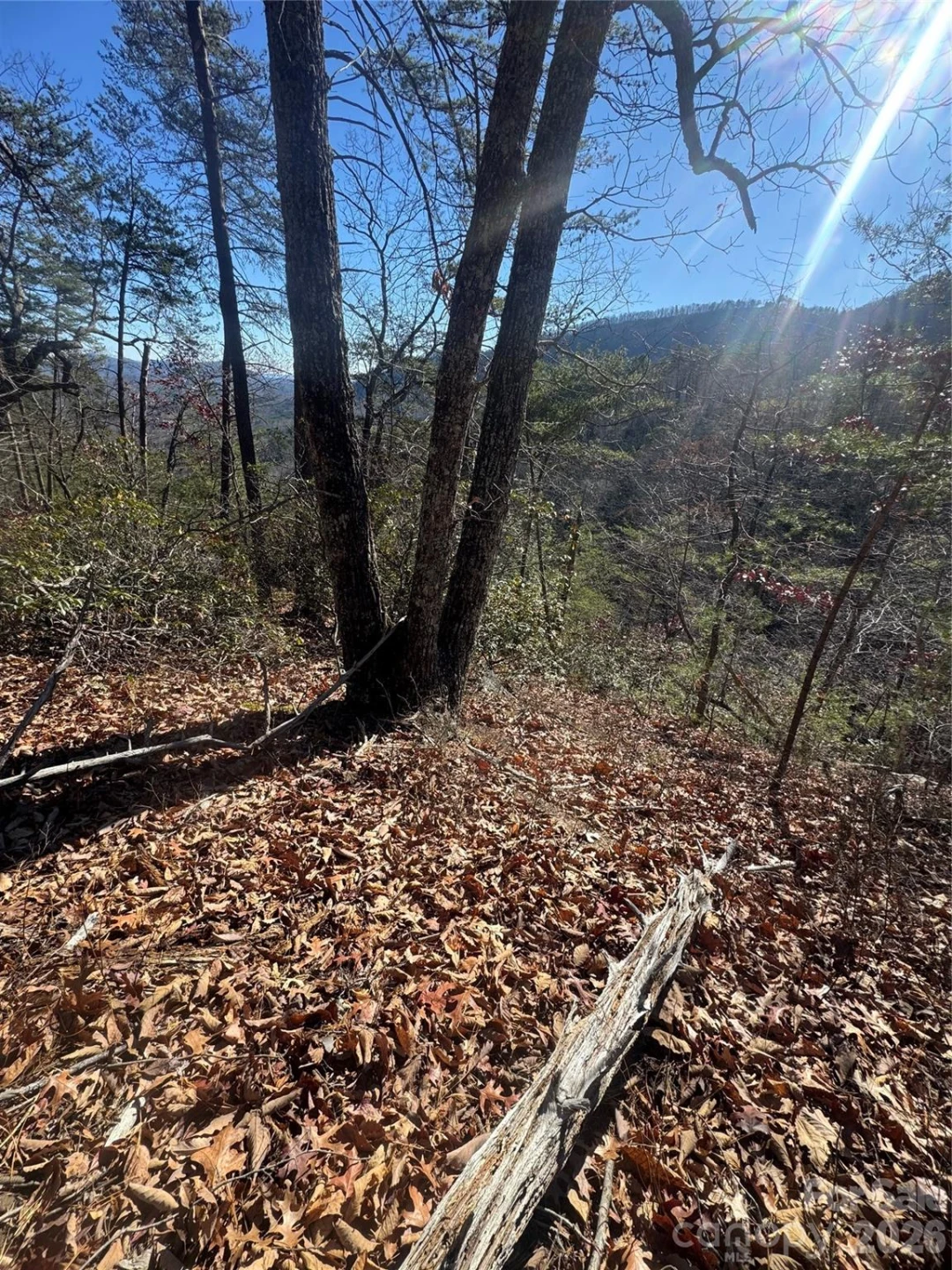0 Laurel Branch Drive #20 - Photo 3
