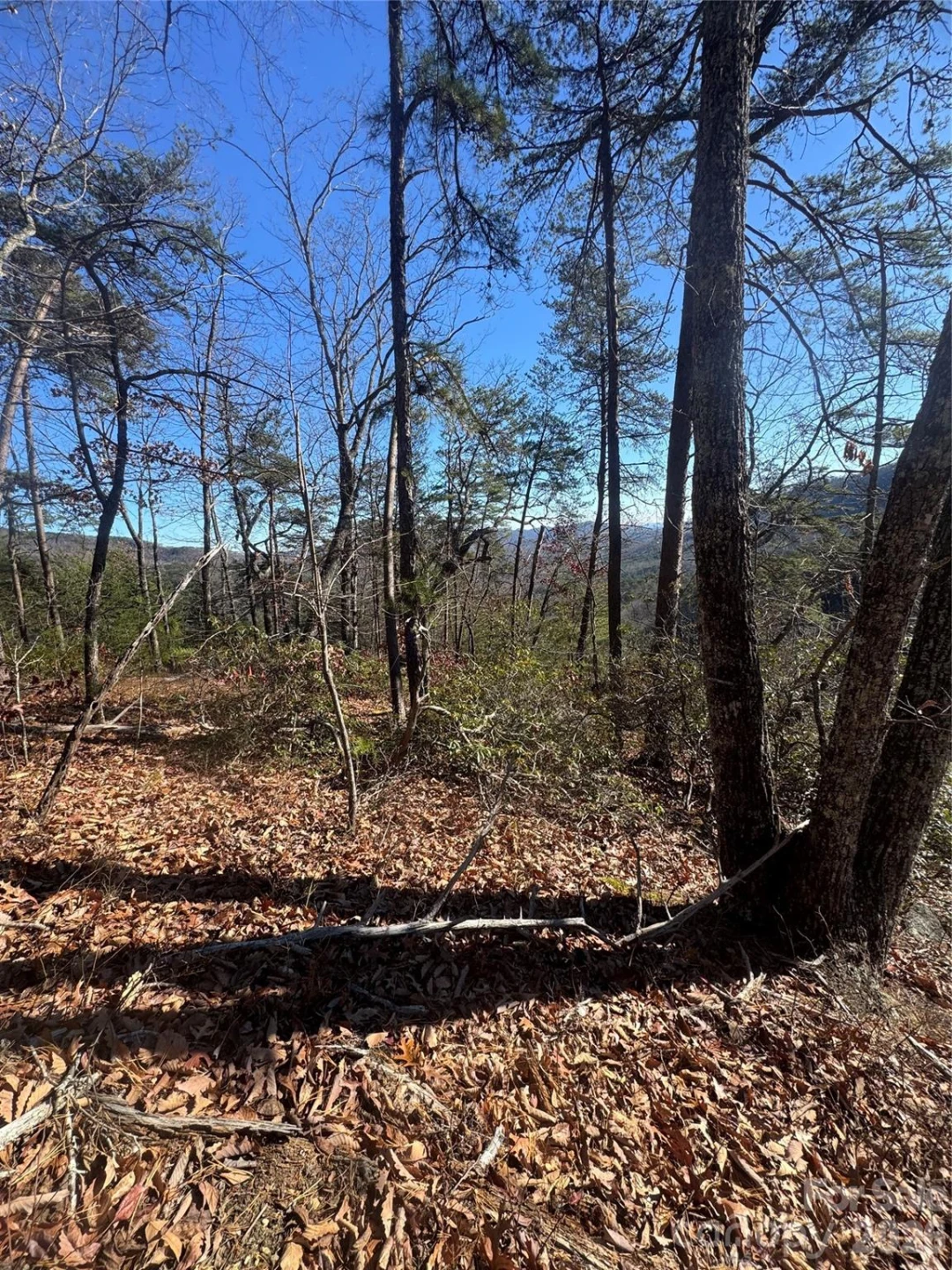 0 Laurel Branch Drive #20 - Photo 5