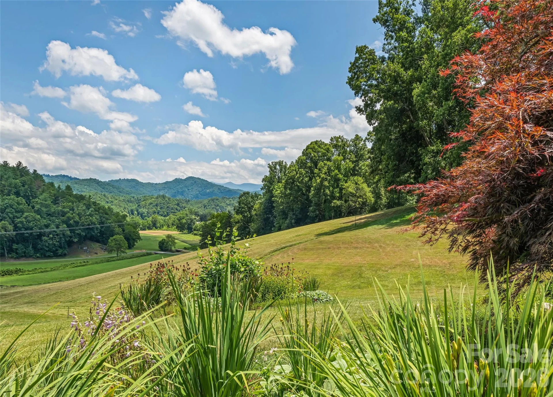 910 California Creek Road - Photo 23