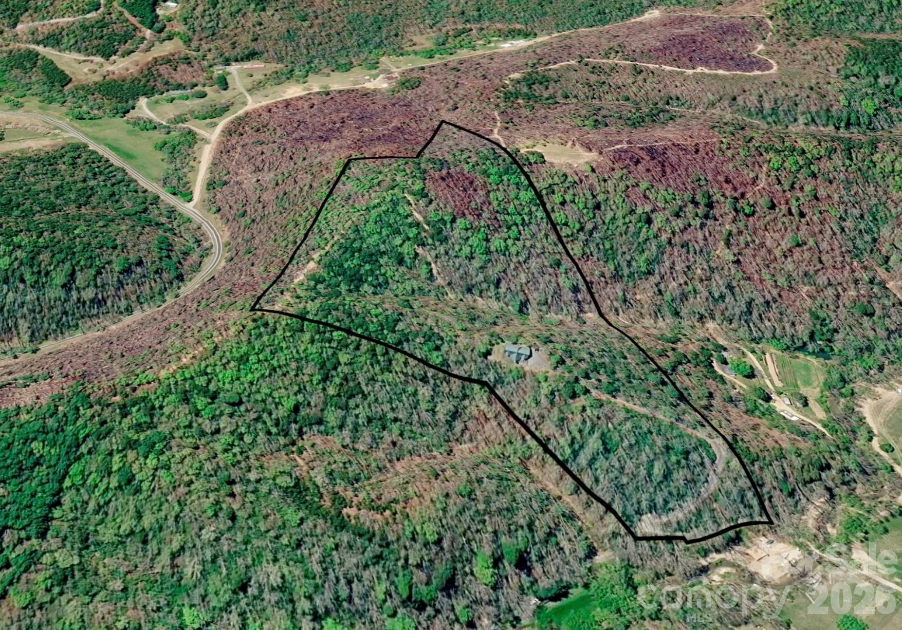 3815 Bat Cave Road - Photo 6
