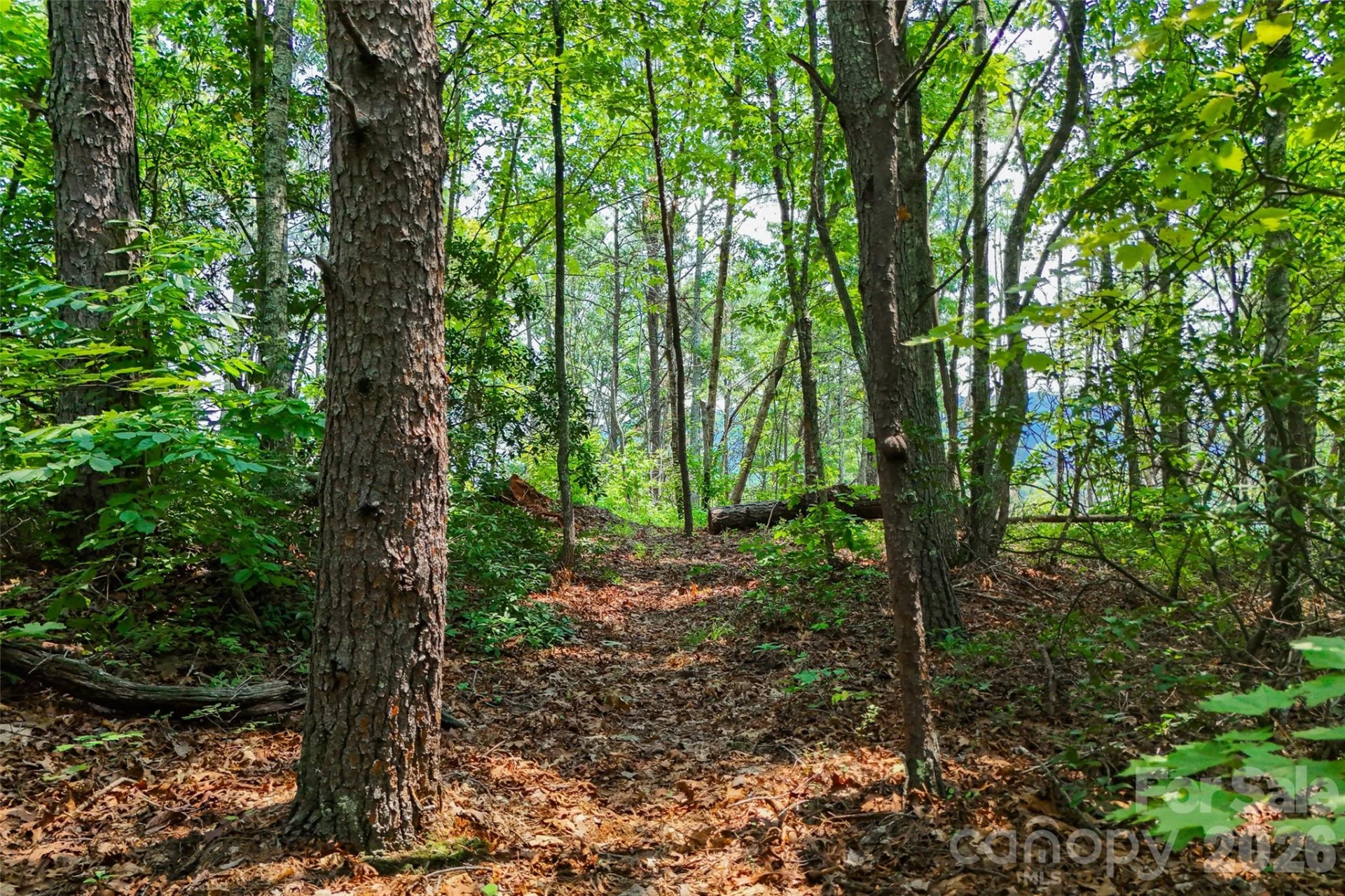 3815 Bat Cave Road - Photo 38