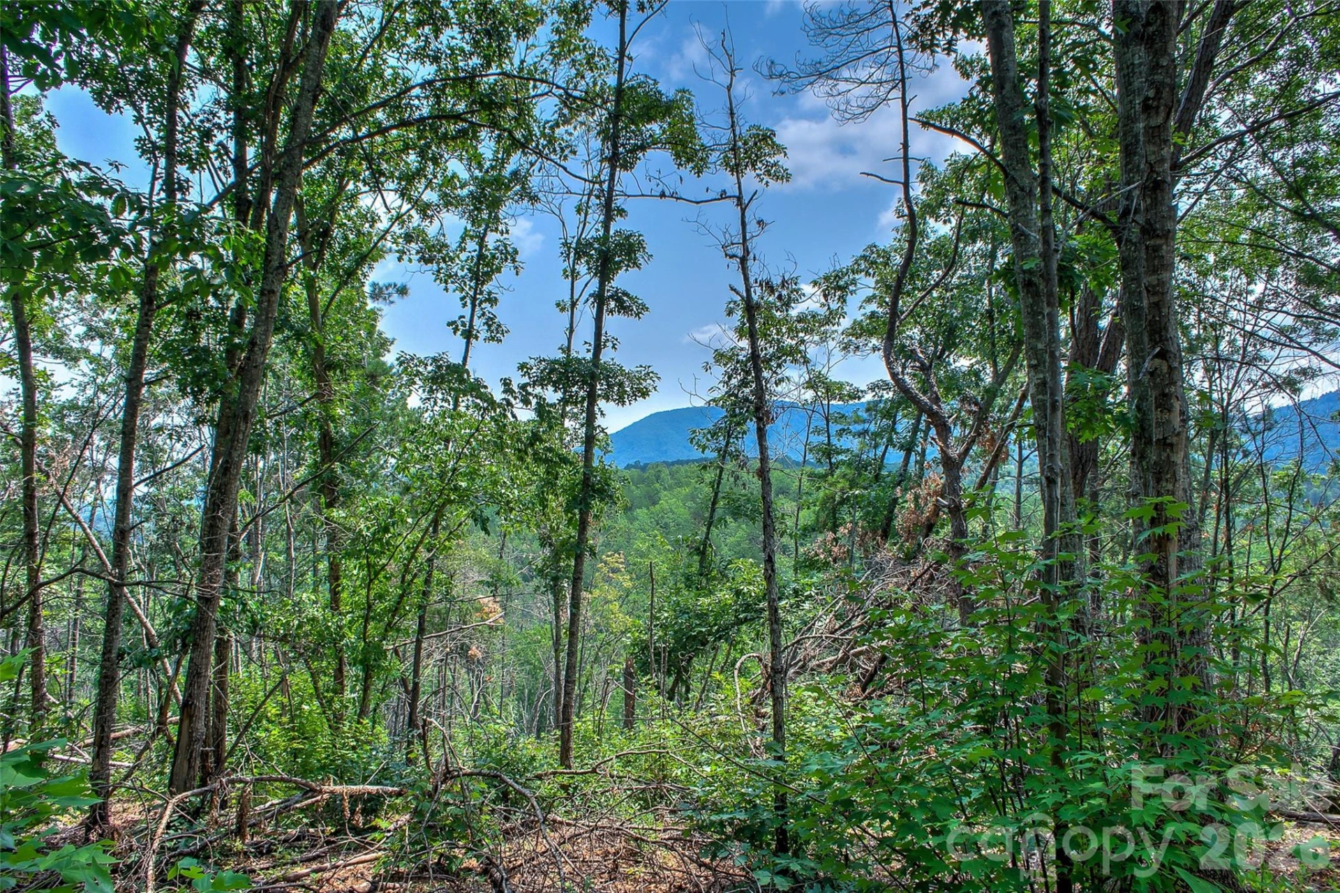 3815 Bat Cave Road - Photo 39