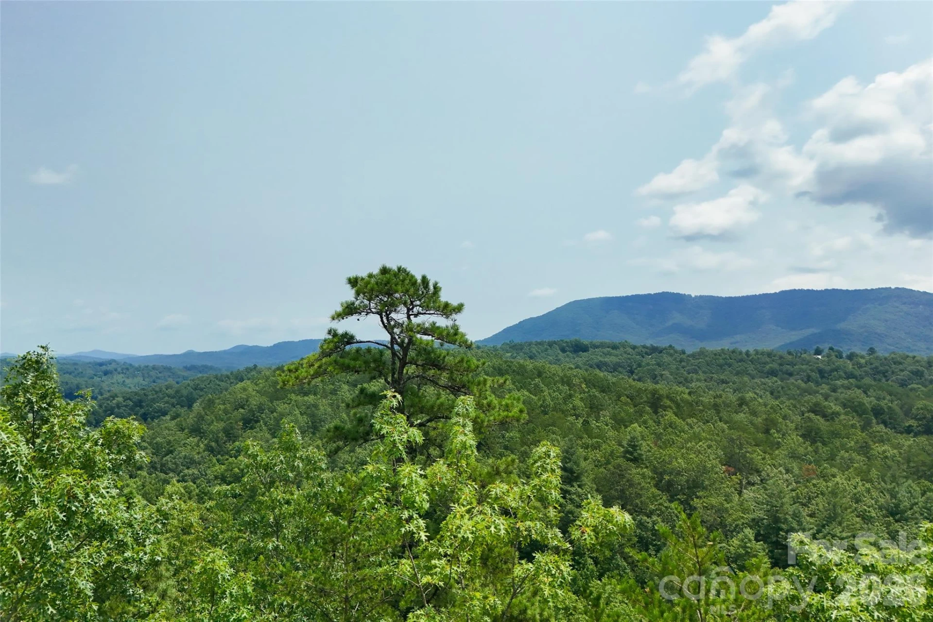 3815 Bat Cave Road - Photo 40