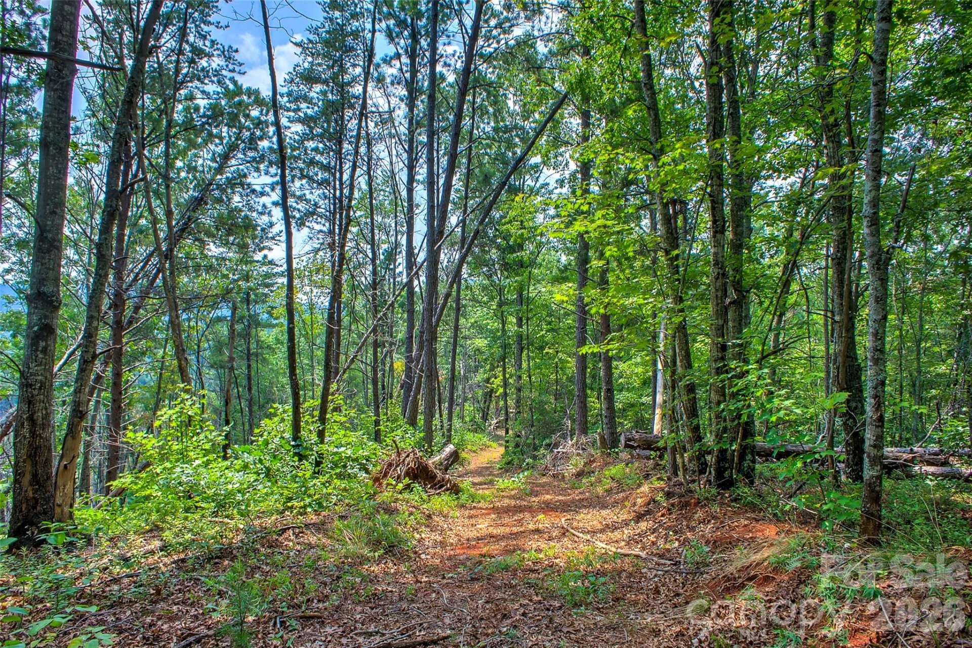 3815 Bat Cave Road - Photo 41